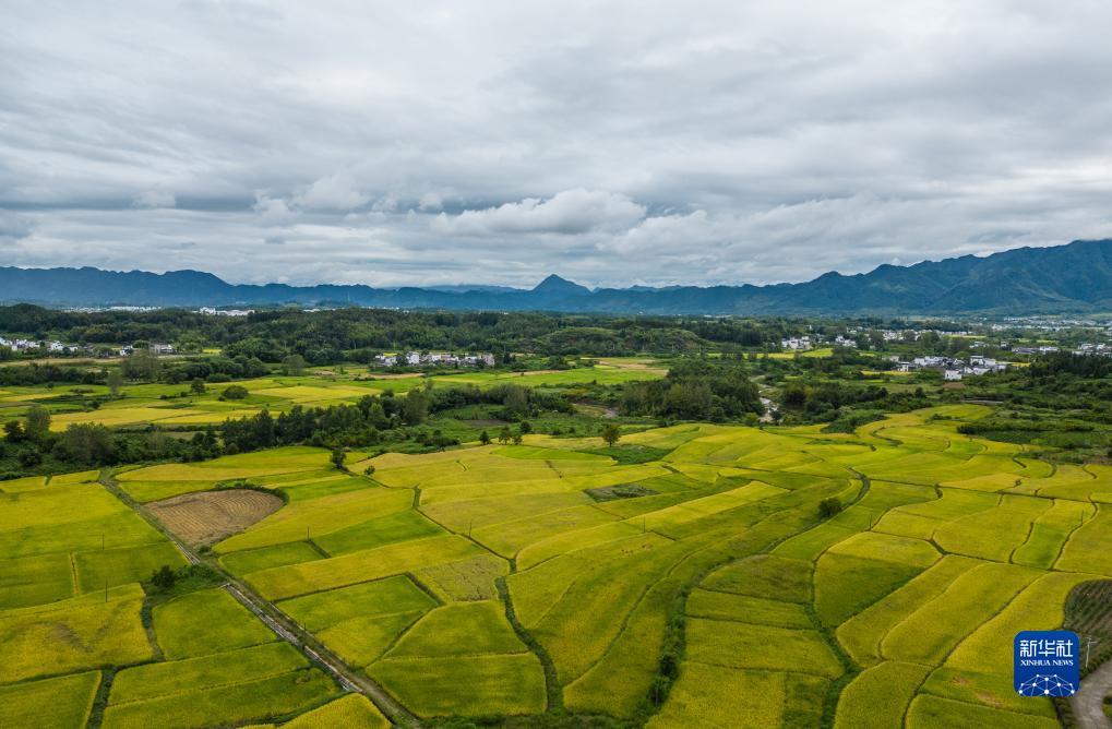 扑克三公游戏